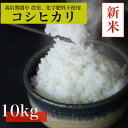 【ふるさと納税】【令和7年産 新米先行予約】コシヒカリ白米10kg《栽培期間中農薬・化学肥料不使用》徳島県阿南市産【1655400】