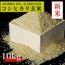 【ふるさと納税】【令和7年産 新米先行予約】コシヒカリ玄米10kg《栽培期間中農薬・化学肥料不使用》徳島県阿南市産【1655401】