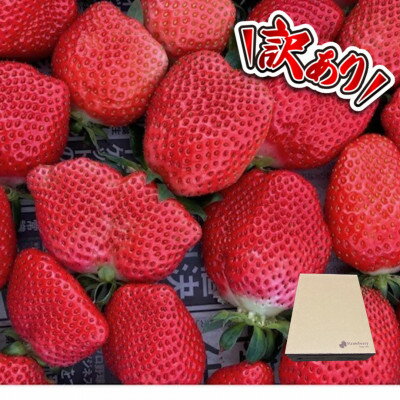 [訳あり][300g×4パック]規格外いちご1200g 2種以上入ります。[配送不可地域:離島・北海道・沖縄県]