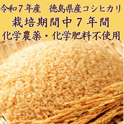 【ふるさと納税】栽培期間中7年間化学農薬・化学肥料不使用　徳島県産コシヒカリ　10kg　玄米【1711896】