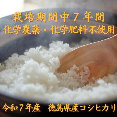 【ふるさと納税】栽培期間中7年間化学農薬・化学肥料不使用　徳島県産コシヒカリ　10k...
