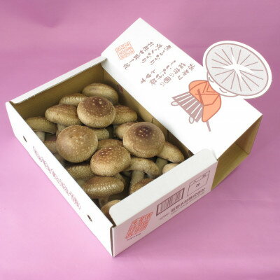 【ふるさと納税】徳島県産菌床生椎茸　しいたけ侍　20枚入【配送不可地域：離島】【1714390】