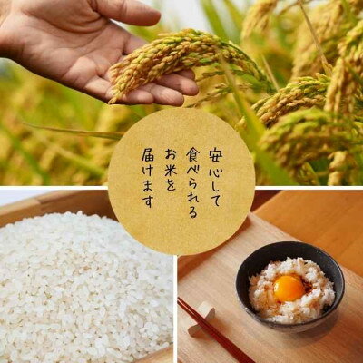 【ふるさと納税】栽培期間中8年間化学農薬・化学肥料不使用栽培米　徳島県産コシヒカリ　10kg　精米【1760891】 f362042-anan-10000292 徳島県阿南市 サンプル画像3