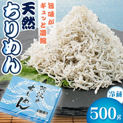 [冷蔵]天然ちりめん500g おすそ分けに人気[配送不可地域:離島]