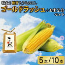 【ふるさと納税】 とうもろこし 米 セット ゴールドラッシュ 選べる 5本 2kg / 10本 4kg コメ 2合 お米 アキサカリ ごはん 先行予約 コーン ...