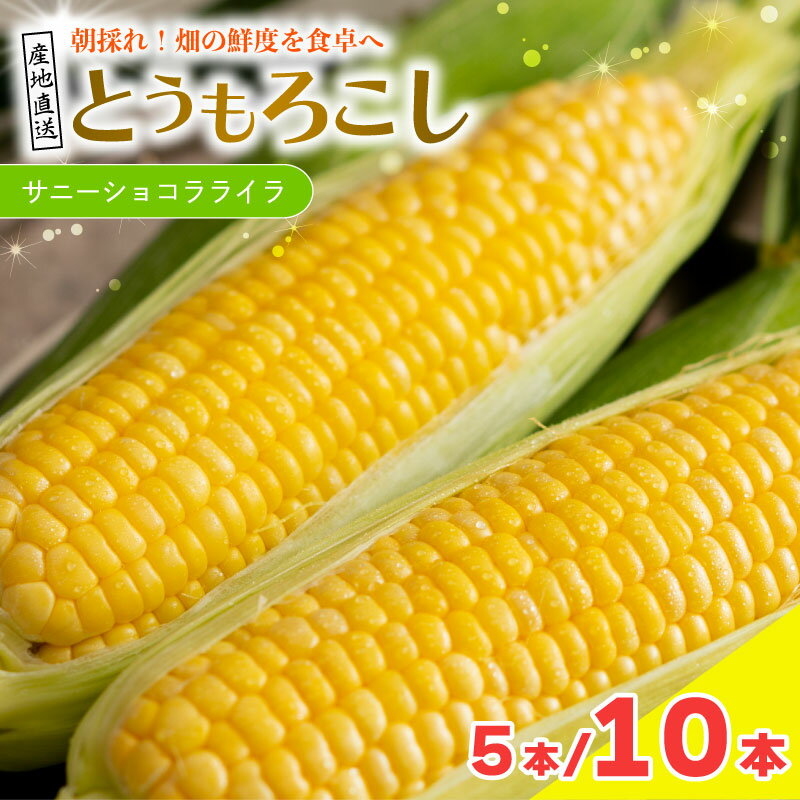 【ふるさと納税】 とうもろこし サニーショコラライラ 選べる 5本 2kg / 10本 4kg 先行予約 トウモロコ..