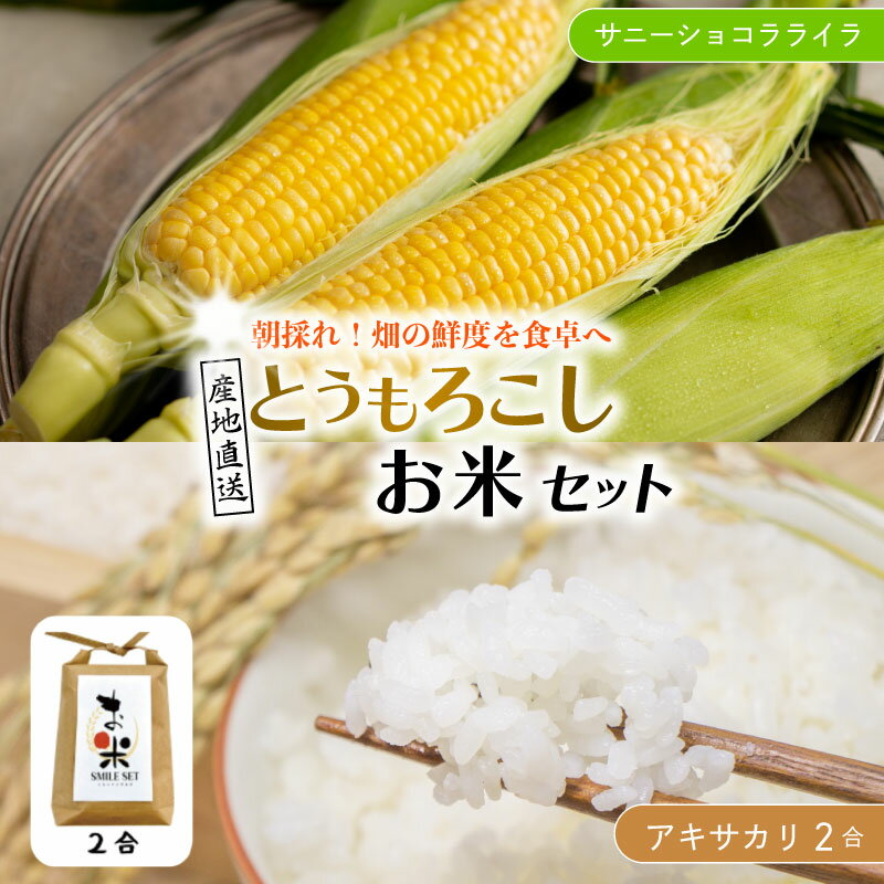とうもろこし 米 セット サニーショコラライラ 選べる 5本 2kg / 10本 4kg コメ 2合 お米 アキサカリ ごはん 先行予約 トウモロコシ コーン スイートコーン とうもろこしご飯 期間限定 夏 旬 野菜 スープ 弁当 惣菜 おかず 国産 送料無料 吉野川市 徳島県