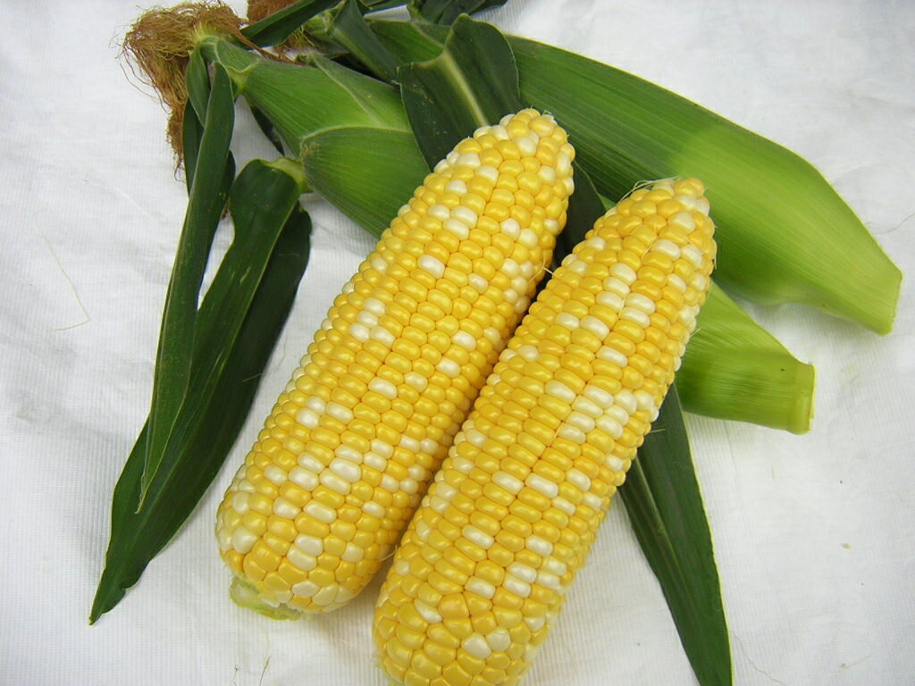 徳島県吉野川市の画像3