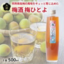 【ふるさと納税】 梅酒 梅ひとよ 500ml 1本 梅 南高梅 3年 熟成 うめ 果物 フルーツ うめしゅ お酒 酒 果実酒 さけ ビール ハイボール チューハ...
