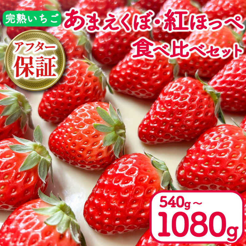 【ふるさと納税】 いちご 540g 1080g 紅ほっぺ あまえくぼ 食べ比べ セット ( 2025年 1月 発送開始 ) 2パック 4パック 朝採れ 期間限定 人気 果物 フルーツ 新鮮 旬 冬 春 ケーキ ギフト 贈り物 贈答 イチゴ 苺 ストロベリー 徳島県 吉野川市 あんいちご園のサムネイル