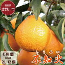 【ふるさと納税】 不知火 L 18個 または 2L 12個 デコポン しらぬい みかん 蜜柑 柑橘 フルーツ 果物 ジュース デザート ケーキ アイス シャーベット ゼリー スイーツ お菓子 ギフト 送料無料 徳島県 吉野川市 山下農園