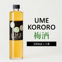 【ふるさと納税】 梅酒 ウメココロ 500ml 1本 梅 うめ 果物 フルーツ うめしゅ 酒 果実酒 さけ ビール ハイボール チューハイ 焼酎 日本酒 ウイス...