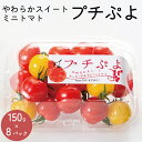 【ふるさと納税】 トマト ミニトマト 1.2kg (150g×8) カラフルトマト プチぷよ 2024年 11月~ 発送予定 スイートミニトマト 野菜 やさい 果物 スイーツ ジュース トマトジュース ドレッシング サンドイッチ ハンバーガー カレー プチトマト 送料無料 四電工 徳島県 吉野川市