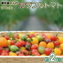 【ふるさと納税】 トマト ミディ & ミニトマト 2kg 小分け 250g×8袋 カラフルトマト 2024年 11月〜 発送予定 野菜 やさい 果物 スイーツ ...