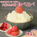 【ふるさと納税】 梅干し 昔ながらのすっぱい梅干し 大梅 小梅 セット 各480g 梅 うめ 果物 しそ 塩 おつまみ 弁当 惣菜 漬物 梅干しごはん ご飯 ビール ハイボール 焼酎 果実酒 ギフト プレゼント 贈答 先行予約 2025年10月中旬から順次出荷 美郷 徳島県 吉野川市 天野農園