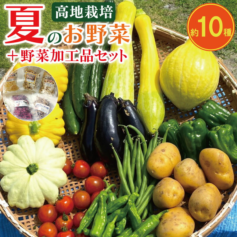 【ふるさと納税】 野菜 夏野菜 10種 程度 + 加工品 2種 ~ 3種 セット 高地野菜 栽培期間中 農薬 不使用 きゅうり ピーマン ししとう オクラ ナス ズッキーニ じゃがいも トマト かぼちゃ 玉ねぎ 梅干し 梅酢 紫蘇梅酢 乾燥菊芋 干し大根 詰合せ くららファーム 吉野川市