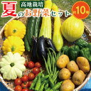 【ふるさと納税】 野菜 夏野菜 セット 10種 程度 詰め合わせ 新鮮 野菜 高地野菜 栽培期間中 農薬 不使用きゅうり ピーマン ししとう オクラ ナス ズッ...