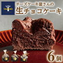 【ふるさと納税】 生チョコ ケーキ 6個 冷凍 ショコラ チョコ クリーム ギフト 個包装 お菓子 スイーツ デザート セット おやつ 焼き菓子 洋菓子 ギフト 差し入れ 贈り物 記念日 徳島県 吉野川市