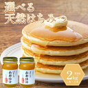 【ふるさと納税】 はちみつ 300gから1.2kg 国産 蜂蜜 ギフト プレゼント 個包装 無添加 無農薬 健康食品 おすすめ はちみつ 国産 純粋 非加熱 国...