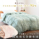 【ふるさと納税】 掛け布団 2色展開(ブルーorピンク) アイダーダウン95% 0.5kg入り 羽毛合掛け布団 シングル ロング