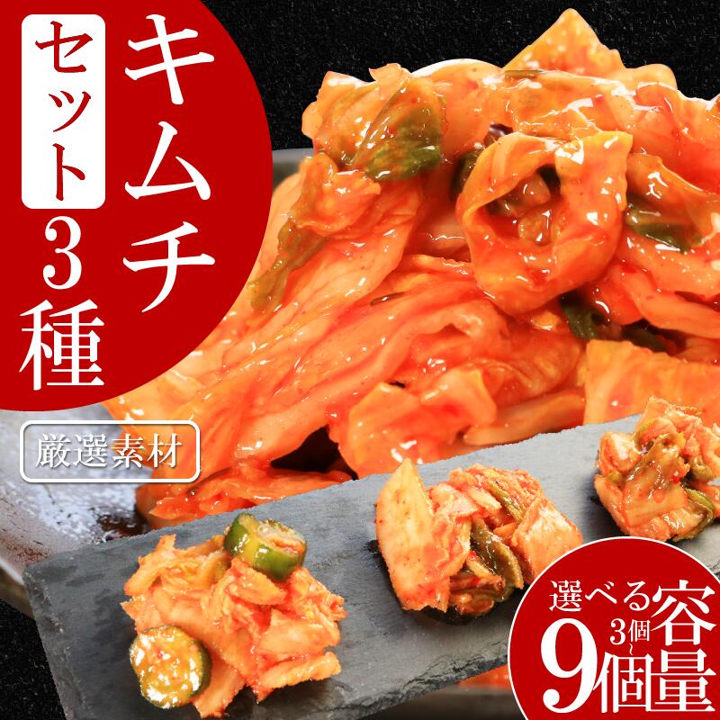 【ふるさと納税】 キムチ 3種 セット 本格キムチ カッパキムチ 白菜キムチ きゅうりキムチ 食べ比べ ピリ辛 おつまみ 食物繊維たっぷり 韓国 乳酸菌 健康 ...
