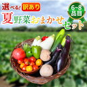 【ふるさと納税】 訳あり 野菜 夏野菜 セット 6~8品 選べる 容量 詰め合わせ 茄子 きゅうり ピーマン トマト ミニトマト 白茄子 オクラ 大葉 枝豆 ズッキーニ ししとう とうもろこし パプリカ じゃがいも たまねぎ にんじん サラダ カレー 野菜炒め 森商店 徳島県 吉野川市