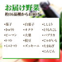 徳島県吉野川市の画像2