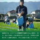 徳島県吉野川市の画像3