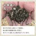 徳島県吉野川市の画像2