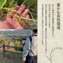 徳島県吉野川市の画像3
