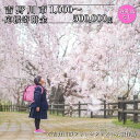 【ふるさと納税】 返礼品なし 応援寄附 徳島県 吉野川市 1000円 3000円 5000円 1万円 2万円 3万円 5万円 10万円 15万円 20万円 30万円 40万円 50万円