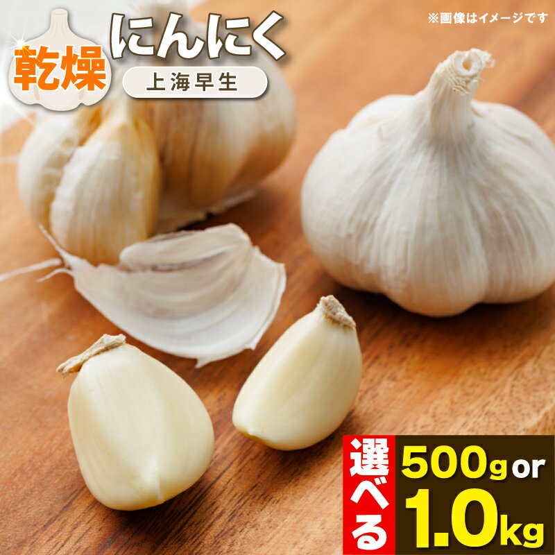 にんにく 乾燥 国産 500g 1kg 選べる容量 乾燥にんにく [先行予約] 常備食 便利 ニンニク スープ 料理 風味豊か 保存食 常温保存 手軽 国産にんにく おつまみ トッピング 香り豊か 旨味 アレンジ 国産 パスタ 野菜炒め ギョーザ 徳島県 吉野川市