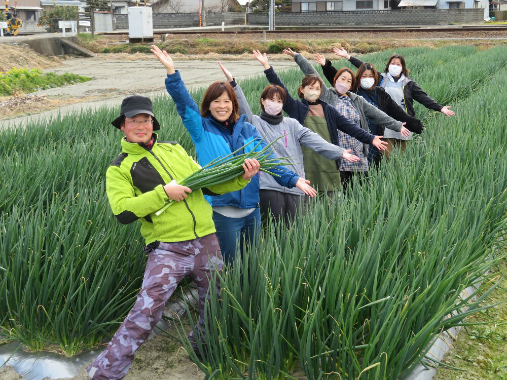 【ふるさと納税】 ねぎ 乾燥ねぎ 選べる容量 30g入 1袋 3袋 4袋 5袋 【ねっこ農園 手間なし パパッと! 乾燥 刻み ネギ 】 青ネギ 小分け 個包装 チャック お手軽 葱 野菜 味噌汁 うどん 鍋 朝ご飯 徳島県 吉野川市