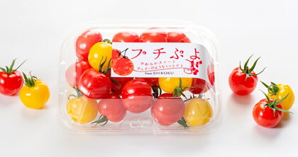 やわらかスイートミニトマト「プチぷよ」 (150g×8パック)