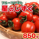 【ふるさと納税】 フルーツ トマト 850g以上 11月出荷