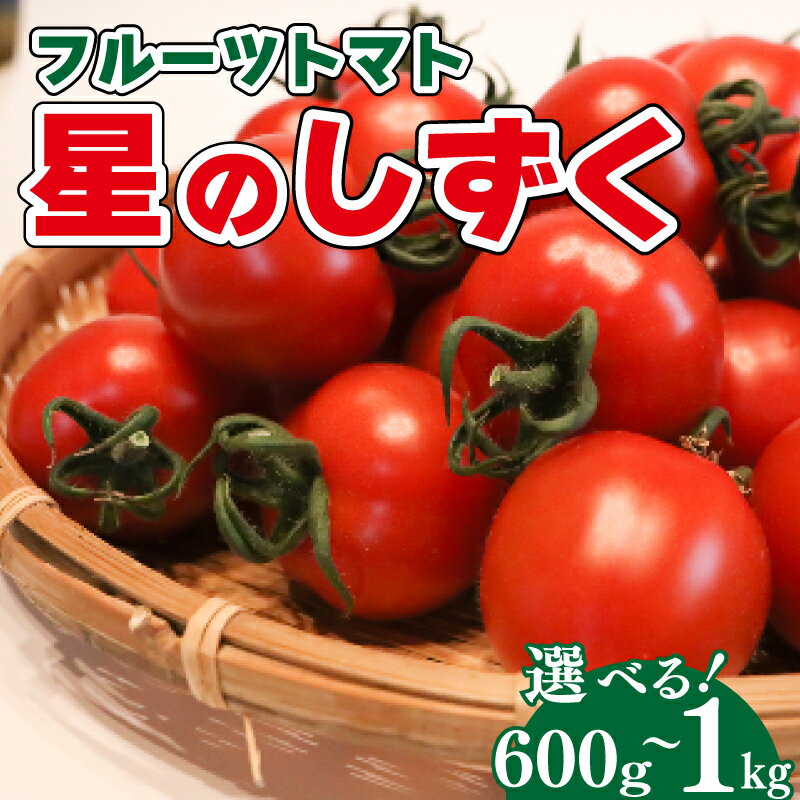 フルーツトマト 600g～1kg 先行予約 《2024年11月上旬～順次出荷》 野菜 トマト 星のしずく 完熟 高濃度 糖度8以上 高級 スイーツ ギフト 贈答用 徳島県 阿波市 原田トマト