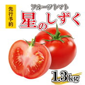 【ふるさと納税】フルーツトマト1.4kg星のしずく甘い糖度10以上原田トマト阿波市徳島県