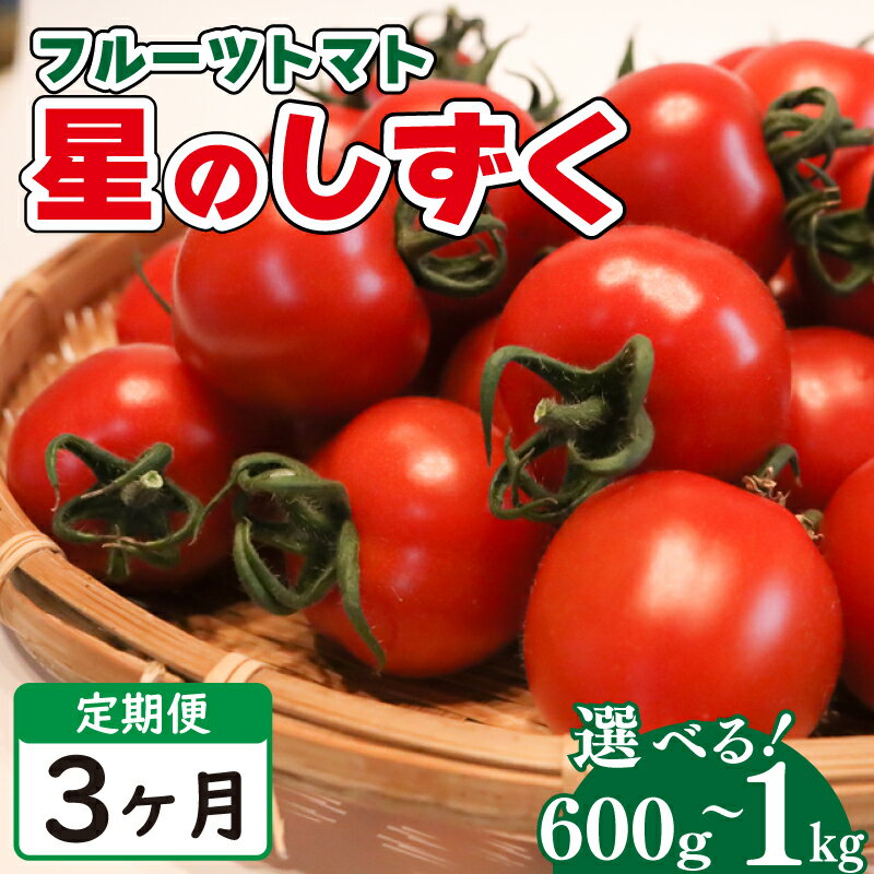 28位! 口コミ数「1件」評価「4」 トマト フルーツトマト 定期便 3回 600g ～ 1kg 先行予約《2024年11月上旬 ～ 順次出荷》野菜 トマト 薄皮 星のしずく ･･･ 