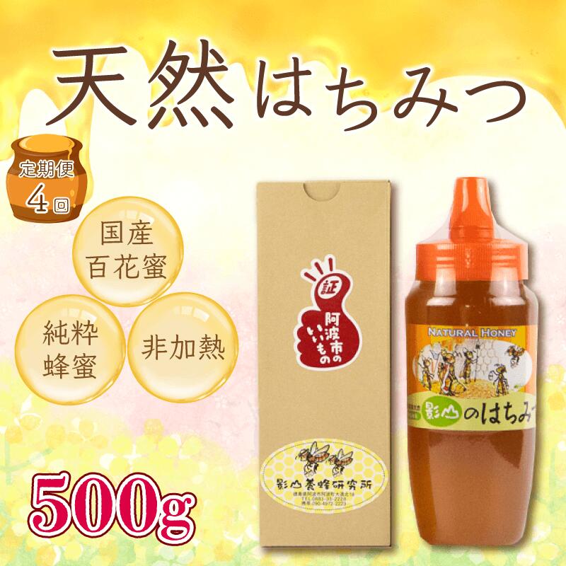 【ふるさと納税】 はちみつ 国産 定期便 4回 500g 純度100％ 非加熱 影山養蜂研究所 栄養満点 蜂蜜 ハチミツ ギフト デザート ピザ トースト 影山養蜂研究所 徳島県 阿波市