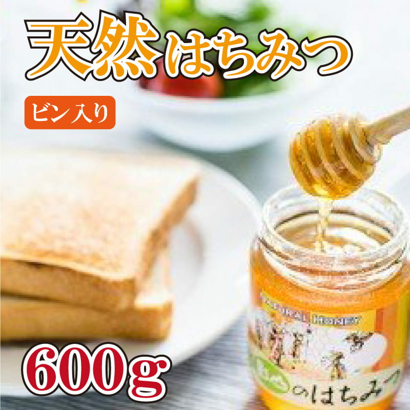 【ふるさと納税】 はちみつ 蜂蜜 600g 天然 純度100% 瓶入り 影山養蜂研究所 阿波市 徳島県