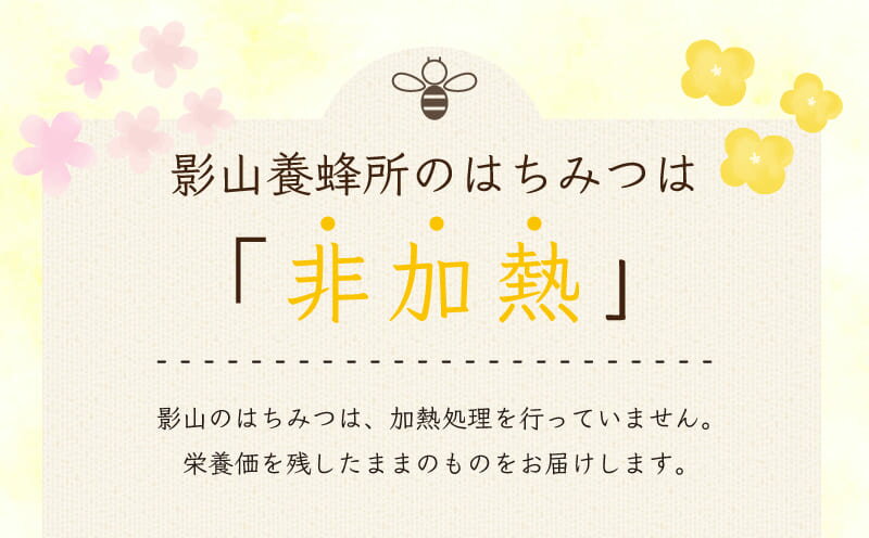 【ふるさと納税】 はちみつ 国産 定期便 4回 500g 純度100％ 非加熱 影山養蜂研究所 栄養満点 蜂蜜 ハチミツ ギフト デザート ピザ トースト 影山養蜂研究所 徳島県 阿波市