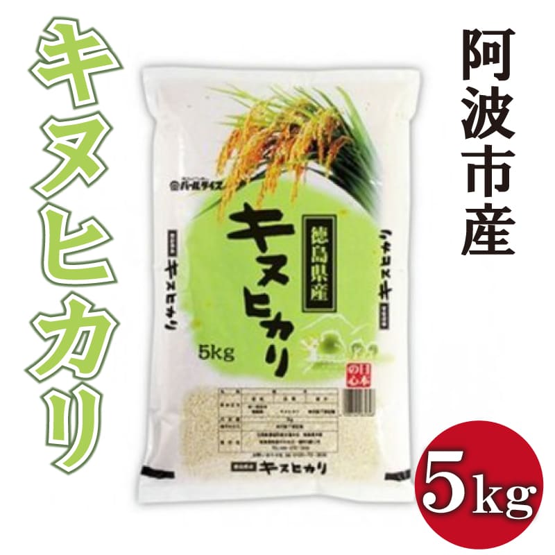 【ふるさと納税】 米 5kg キヌヒカリ 阿波市産 新米 令和3年度産 徳島県...