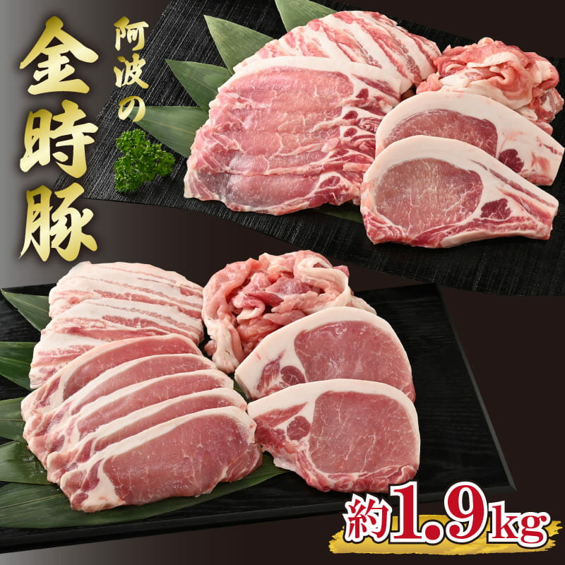 【ふるさと納税】 豚肉 切り落とし 国産 金時豚 ロース バラ セット 小分け 約 2kg 焼肉 BBQ バーベキ...