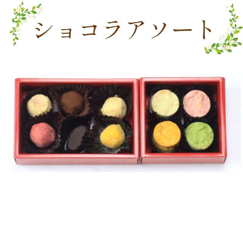 【ふるさと納税】 チョコ セット 詰め合わせ スイーツ ショコラ アソート ギフト 贈答品 IRODORI ICHIBA 阿波市 徳島県