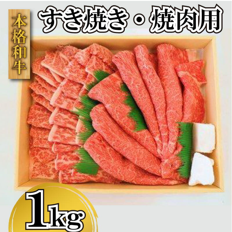 【ふるさと納税】 黒毛和牛 国産 牛肉 焼肉 すき焼き セット 1kg 阿波牛 阿波市 徳島県