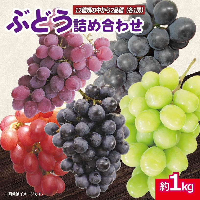 フルーツ ぶどう セット 12種類の中からおまかせ 2房 約 1kg [出荷時期:2025年8月中旬から9月中旬頃] 果物 葡萄 秋の味覚 旬 詰め合わせ 甘い 美味しい お中元 先行予約 徳島県 阿波市