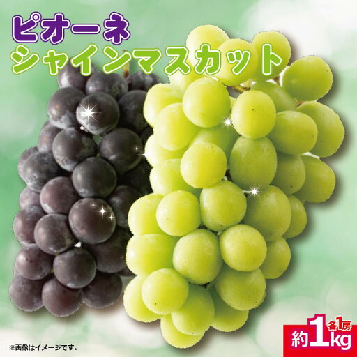 【ふるさと納税】 シャインマスカット ぶどう ピオーネ 計 2房 1kg <出荷時期:2025年8月中旬から9月中旬頃> フルーツ 果物 葡萄 秋の味覚 甘い 美味しい お中元 先行予約 徳島県 阿波市 【ふるさと納税】 シャインマスカット ぶどう ピオーネ 計 2房 1kg <出荷時期:2025年8月中旬から9月中旬頃> フルーツ 果物 葡萄 秋の味覚 甘い 美味しい お中元 先行予約 徳島県 阿波市