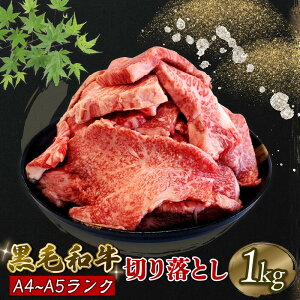 【ふるさと納税】 牛肉 1kg 切落し 阿波華牛 A5 黒毛和牛 焼肉 すき焼き すきやき 炒めもの 牛丼 阿波牛 ブランド牛 冷凍 お取り寄せ グルメ ギフト お歳暮