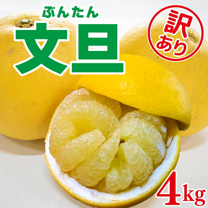 【ふるさと納税】 文旦 訳あり 3kg 無農薬 蜜柑 みかん ぶんたん 柑橘 蜜柑 家庭用 阿波市 徳島県