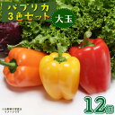  野菜 パプリカ 12個 3色 セット サラダ マリネ チャーハン 豚バラ 甘酢漬け グリル 肉詰め 徳島県 阿波市